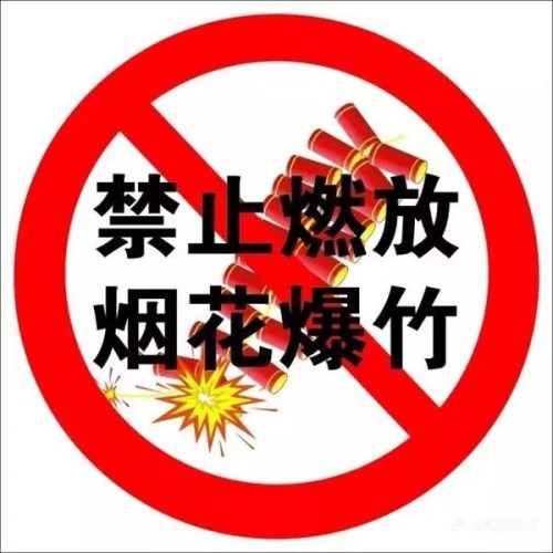 禁止燃放煙花爆竹倡議書(shū)